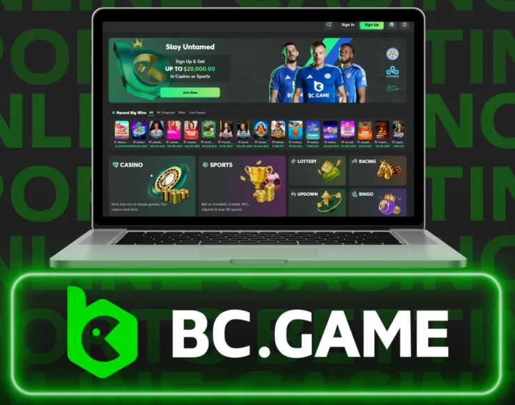 Bc.Game Unveiling the Future of Online Gaming